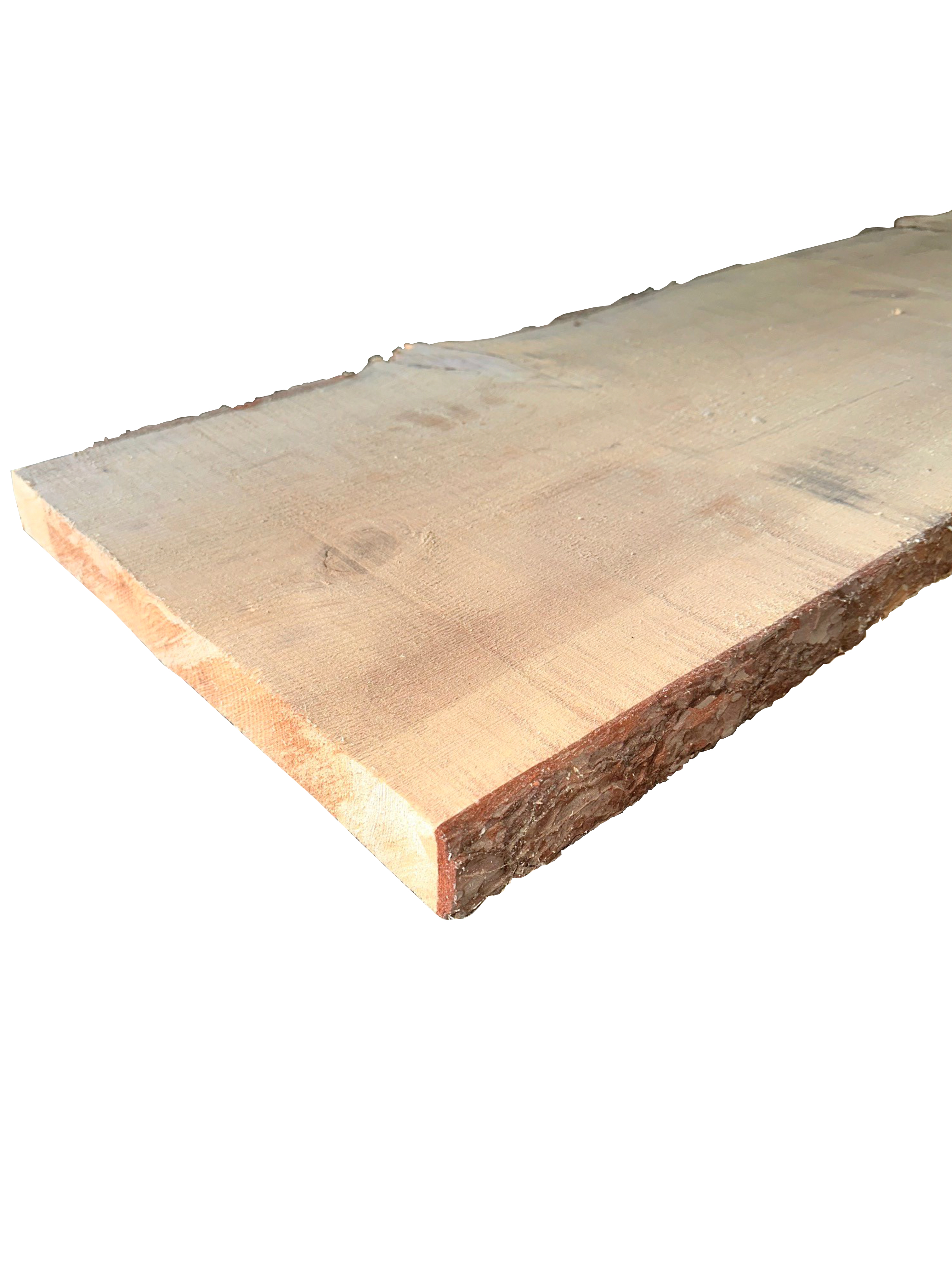 Pino Soria Burgos sin cantear